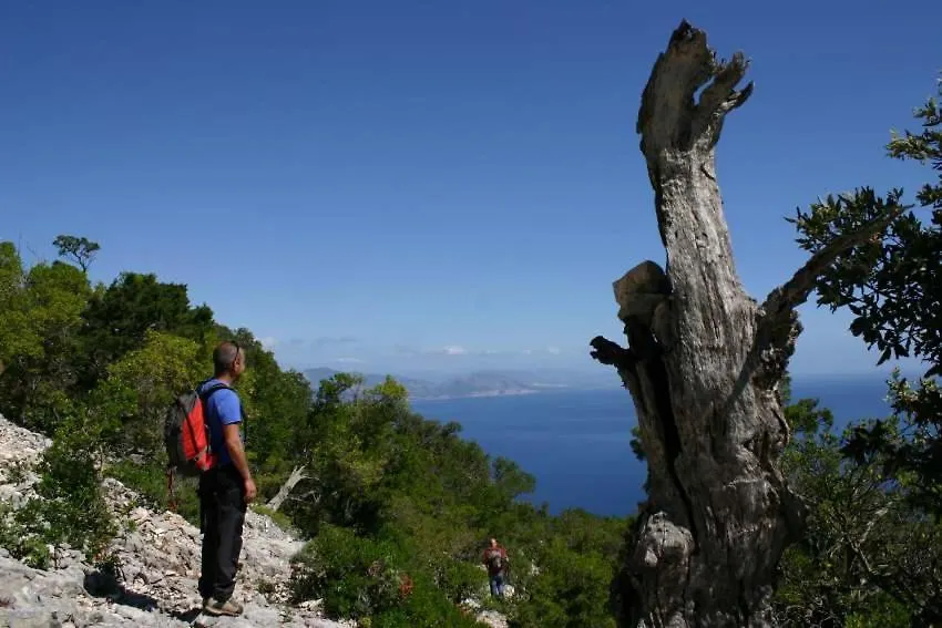 B&B Sa Clarera Baunei 0*,  Italië